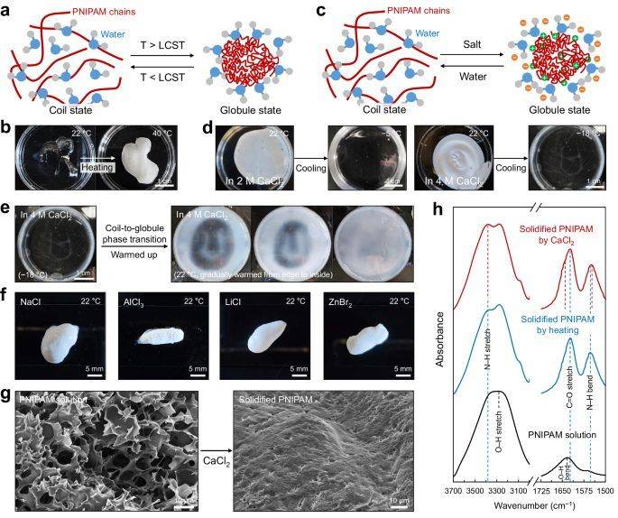 中国纪检监察报:最准一肖一码100%免费公开-3D打印，又一篇Nature！