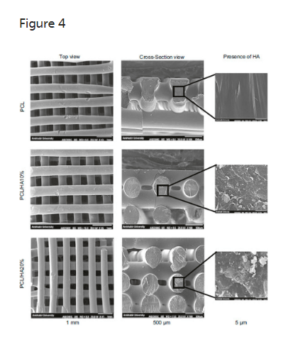 南方+:新澳门一肖一码免费资料-3D打印概念震荡拉升，铂力特大涨10%  第2张