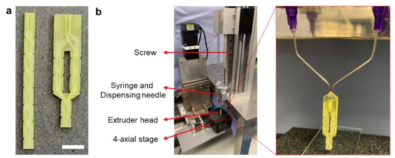 农民日报:84995澳门论坛资料库生肖表-Formlabs 3D打印技术赋能鞋业创新应用