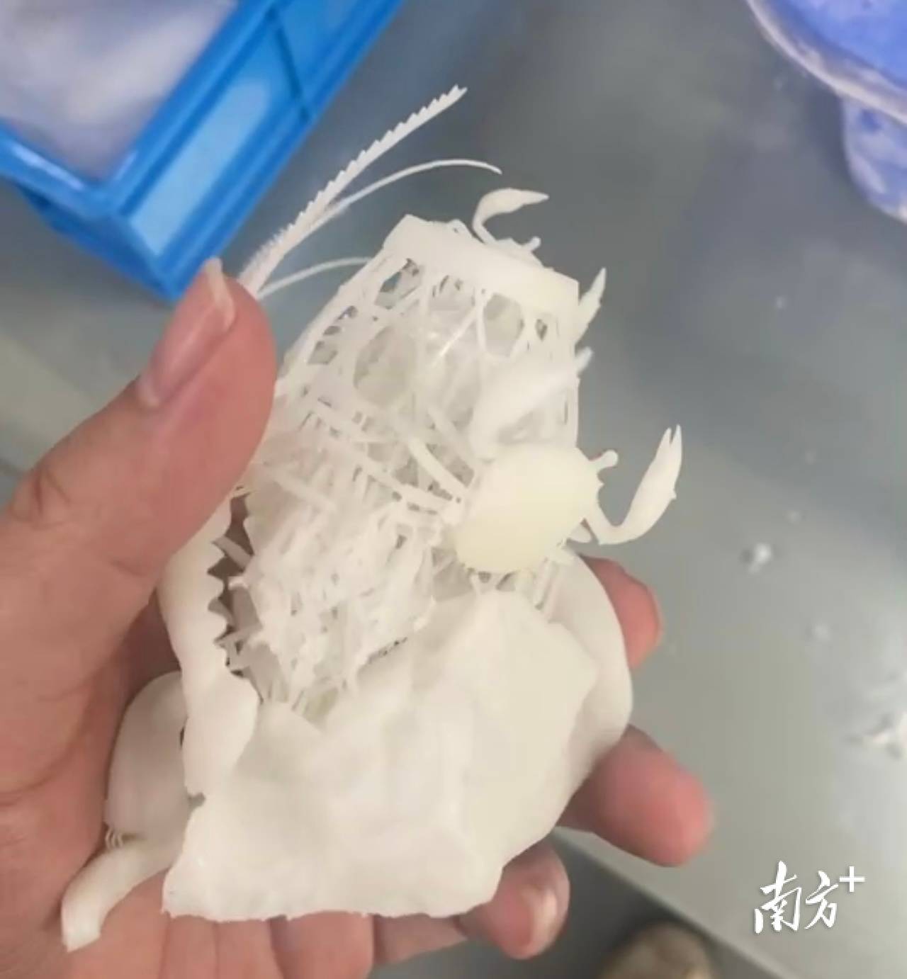 中央广播电视总台:一肖一码免费公开资料大全-3d打印耳环的注意事项-齐乐手板  第3张