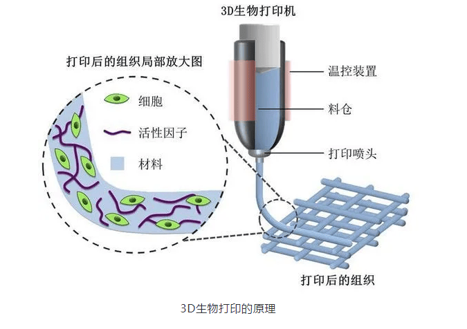 极光新闻:新澳门资料大全正版资料2024年网站下载-苏大维格获得发明专利授权：“一种连续生长的3D打印方法及3D打印设备”