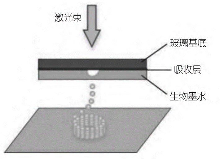 中国质量新闻网 :新澳门管家婆免费资料查询-3D打印零门槛 看爱乐酷总裁来618京东3C数码采销直播间玩转3D打印  第2张