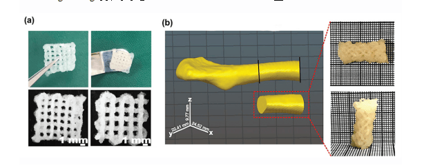 看看新闻:新澳门资料长期免费大全-填补领域空白 3D打印产品通过国家药监局审批