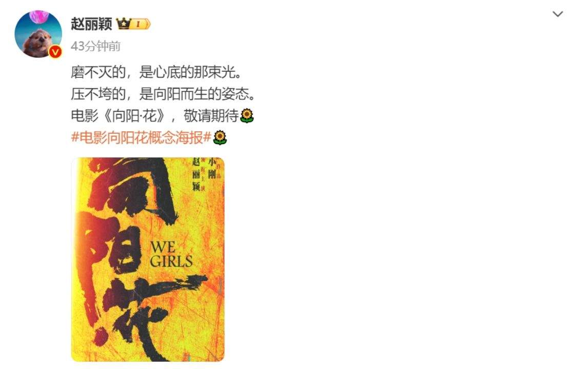 赵丽颖领衔主演冯小刚新片 《向阳・花》发布概念海报公布主演阵容  第3张