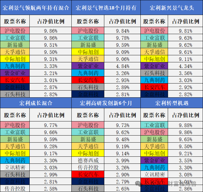 6只产品霸榜主动权益前十，宏利基金王鹏值得关注吗？