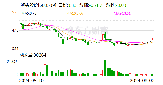 狮头股份：收到山西证监局行政监管措施决定书