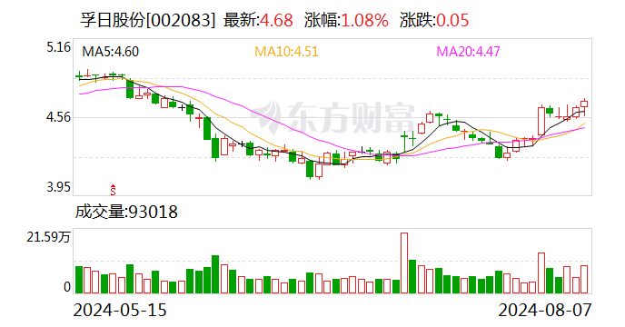 孚日股份：双主业战略成效显著 上半年净利润同比大增75.16%  第1张