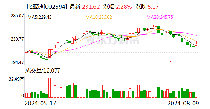 比亚迪大宗交易成交979.75万元  第1张