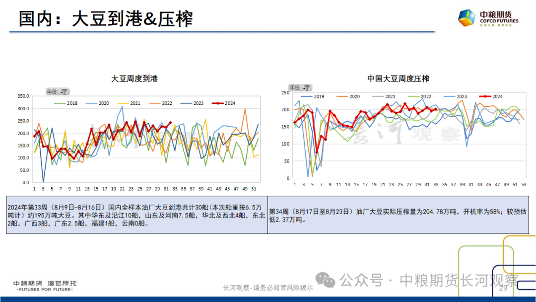 【长河报告】大豆、豆粕周度数据20240823：作物巡查结果偏好，美豆出口略有升温  第27张