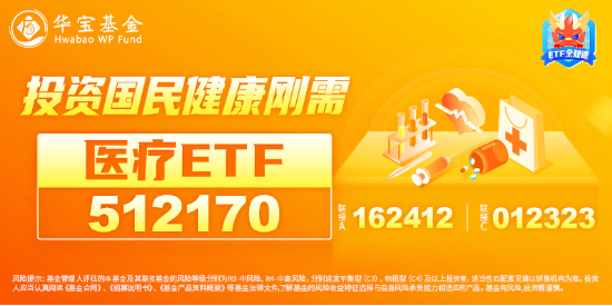 重磅新政点火，医疗ETF（512170）盘中上探1.45%！主力资金狂买医药医疗，千亿CXO巨头最受青睐！  第4张