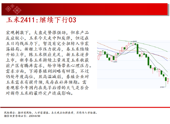 中天期货:玉米继续下行 棕榈小阳试探  第7张