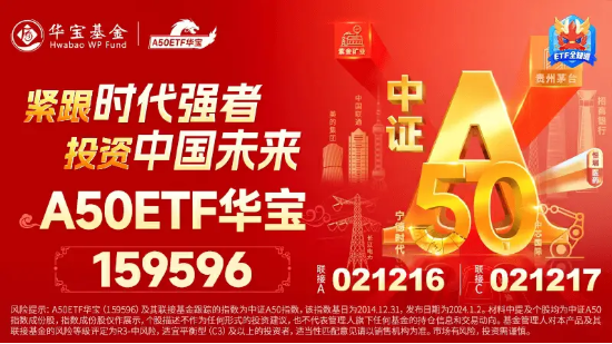 继续涨！沪指一举拿下2900点！A50龙头全线上涨，A50ETF华宝（159596）上探3%站上半年线  第3张