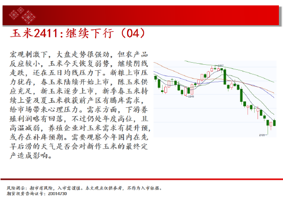 中天期货:原油反弹出现 棕榈继续拉高  第7张