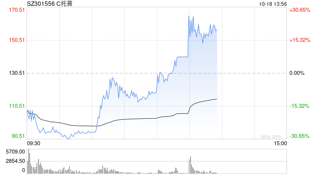 C托普涨7.65%触发临停 早盘一度跌超30%  第1张