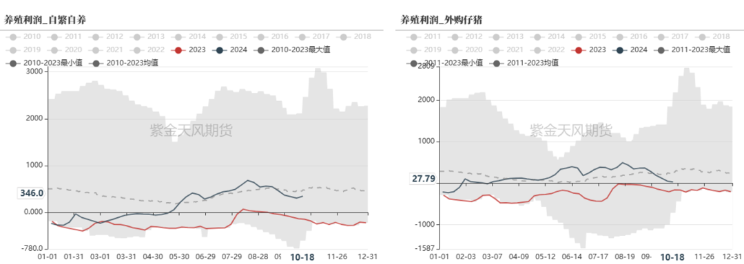 云评论 | 玉米：一点寒芒先到  第7张