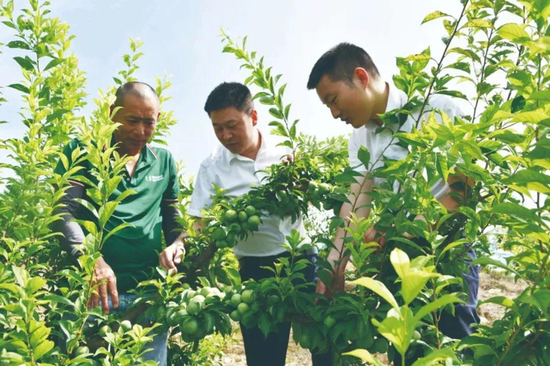 全力推动！工商银行推进支持小微企业融资协调工作机制落地  第4张