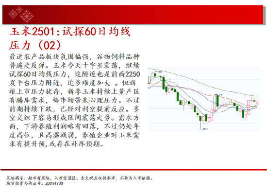 中天期货:螺纹向上反弹 低位震荡  第7张