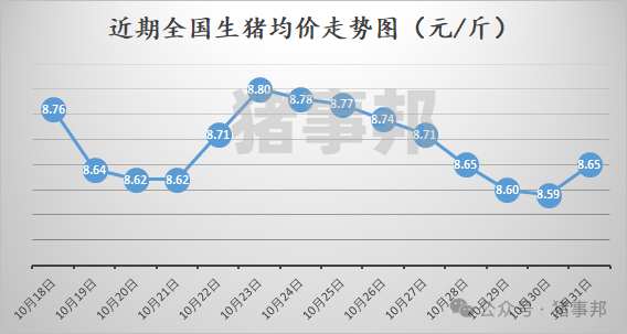 10月31日猪价汇总（多数地区反弹！）  第3张