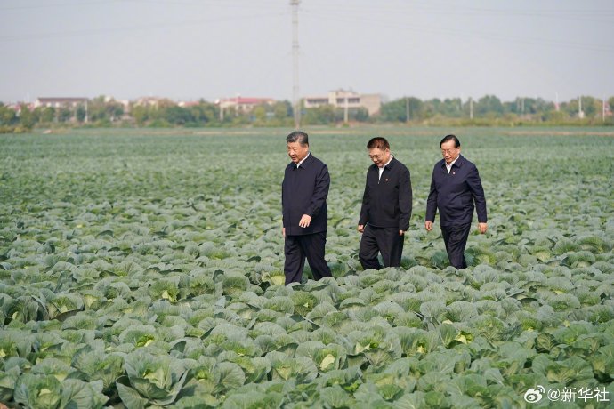 习近平在湖北考察调研  第6张