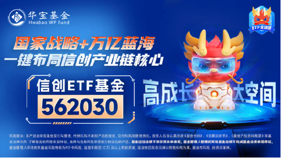 涨幅高居同类ETF竞品第一！信创ETF基金（562030）盘中涨超4．5%，东方通等3股涨停！近170亿主力资金狂涌  第4张