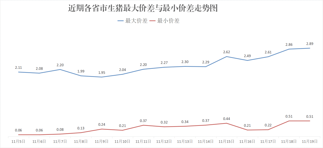 每日猪讯11.19  第8张