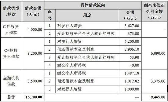 胜科纳米IPO：实控人举债增持公司股份，二十年押上全部身家，办出“芯片全科医院”  第2张