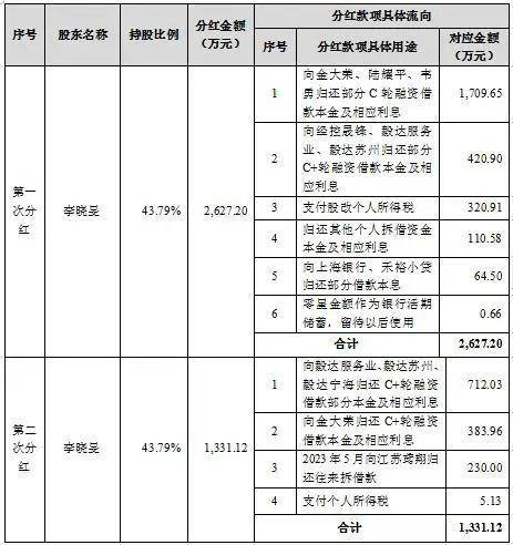 胜科纳米IPO：实控人举债增持公司股份，二十年押上全部身家，办出“芯片全科医院”  第3张