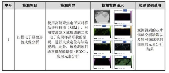 胜科纳米IPO：实控人举债增持公司股份，二十年押上全部身家，办出“芯片全科医院”  第4张