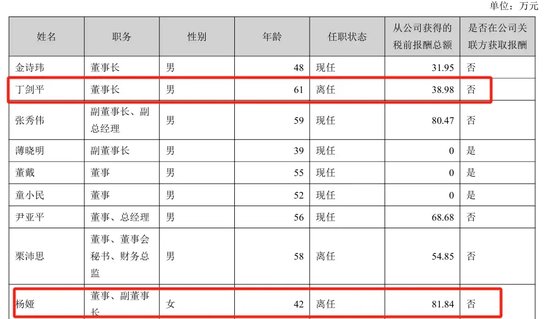 美女总经理带头财务造假,海伦哲索赔2.48亿  第3张