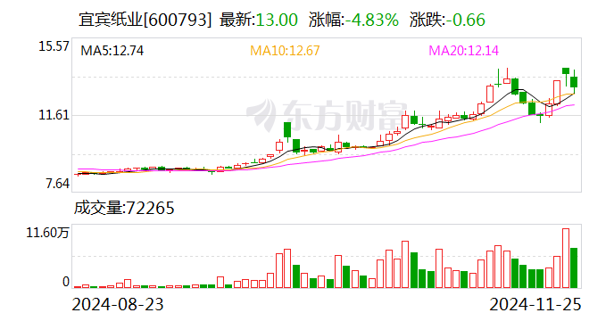 宜宾纸业：子公司拟投建两项目 项目总投资合计5.4亿元  第1张