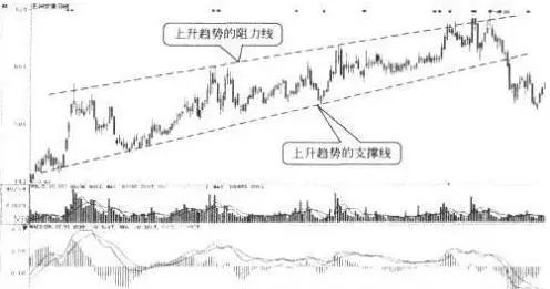 一位投资长春高新的老股民坦言：5年前5178点买入5万长春高新，无视涨跌到现在什么光景？真正的钱生钱  第5张