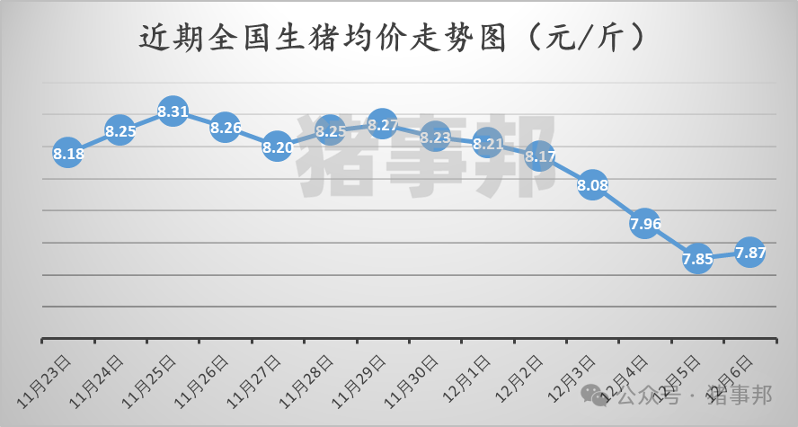 12月6日猪价汇总（北方反弹，南方稍弱！）  第3张