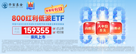 3400点，拿下！海外突传重磅，CXO狂飙，医疗ETF（512170）冲击4%！能守亦能攻，800红利低波ETF放量涨1.67%  第10张