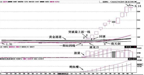 一位成功的投资人：巴菲特股票估值如此成功，我们普通散户能否效仿？原来钱是要这样赚来的  第2张