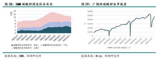 新湖能源（碳酸锂）2025年报：锂价探谷，市景瞻春  第19张