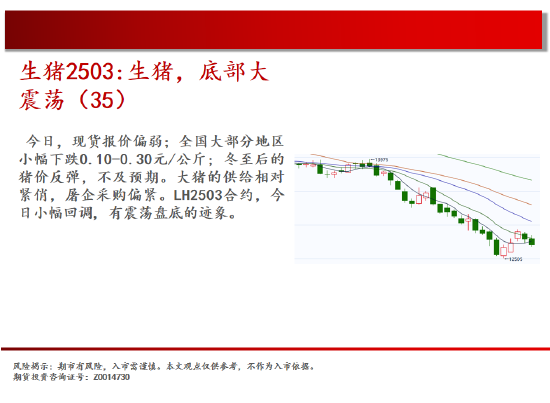 中天期货:生猪底部大震荡 玻璃尝试下坡  第7张