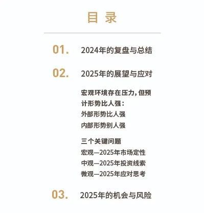 清和泉年度策略|2025发展重回优先：形势比人强 看好四大投资方向  第2张