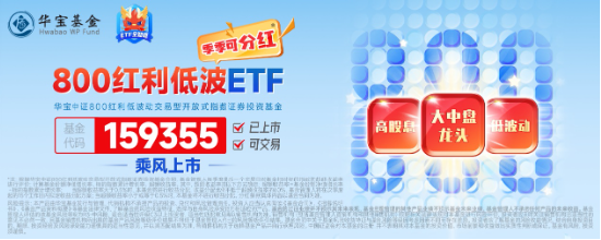 资产荒+跨年窗口，把握高确定性低波红利，全市场唯一800红利低波ETF（159355）标的基日以来年化收益超16%  第3张