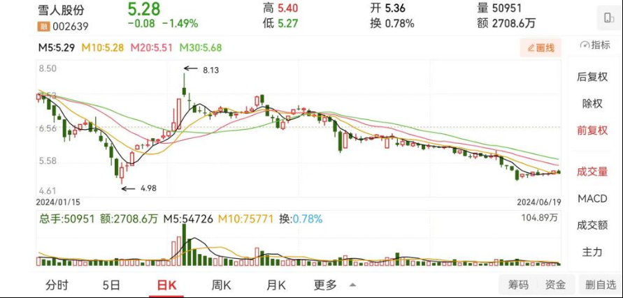 雪人股份收“罚单”  第2张