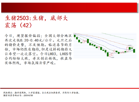 中天期货:PVC2505下破继续探底 橡胶下破平台  第7张