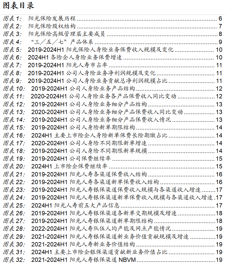 保险深度丨阳光保险首次覆盖深度报告：综合性民营保险集团，保险及投资业务兼具成长及特色【中泰非银·蒋峤/戴志锋】  第2张