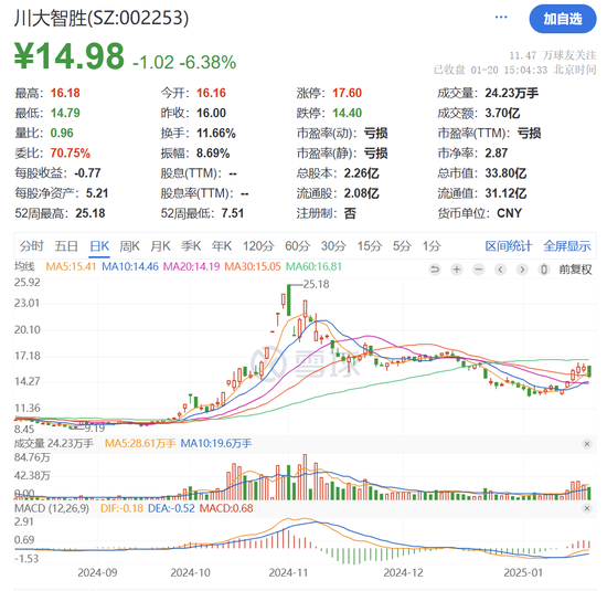 川大智胜可能被实施退市风险警示，预计2024年归母净利润为负值  第3张