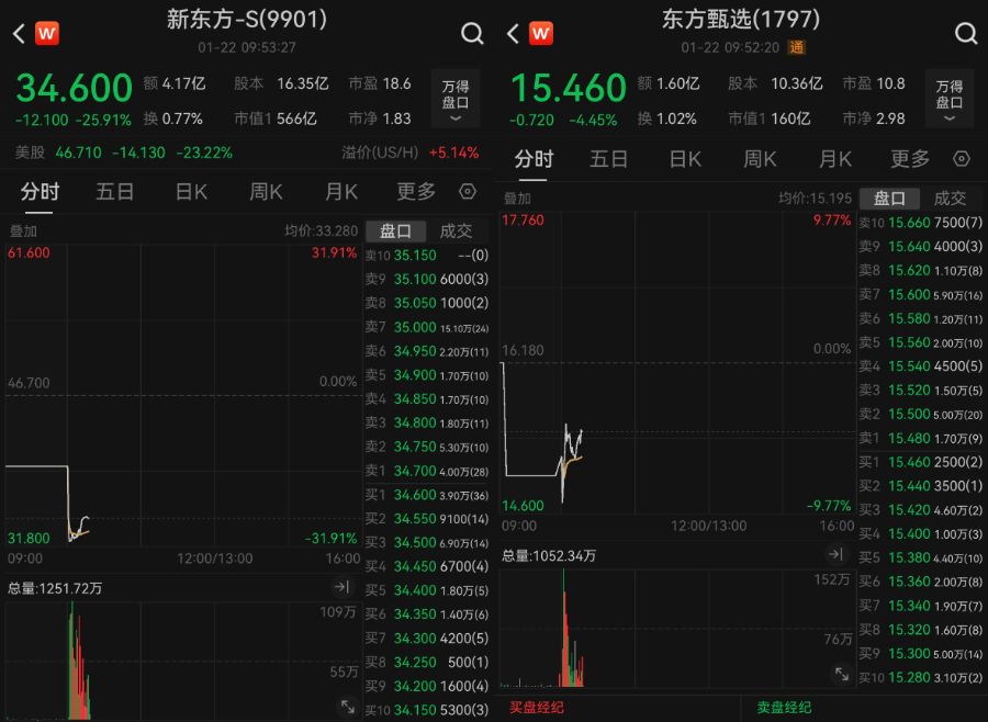 新东方、东方甄选，双双大跌  第2张