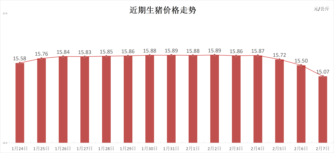 每日猪讯2.7  第3张