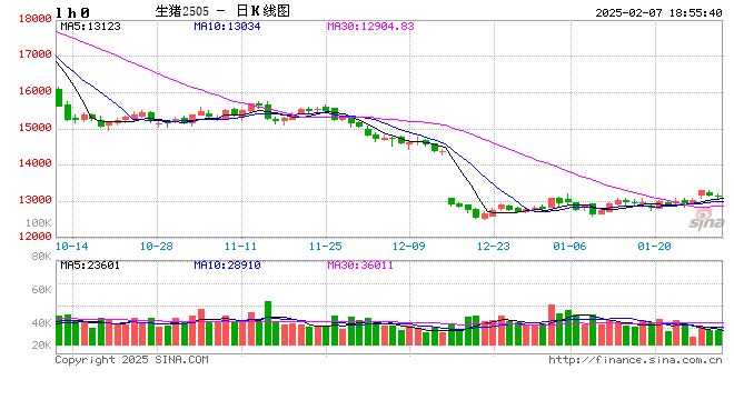 每日猪讯2.7  第2张