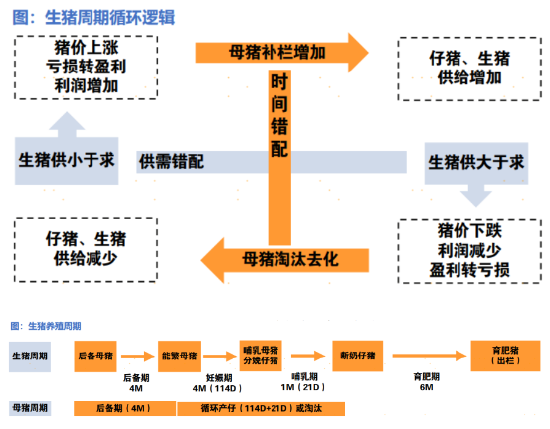 一文读懂2025年消费细分行业分析：是“宝藏”还是“风险”？  第8张