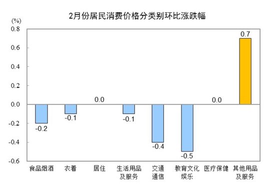 国家统计局：2025年2月份居民消费价格同比下降0.7%  第3张