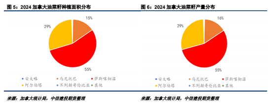 2025加菜籽种植面积仍有下调潜力  第5张