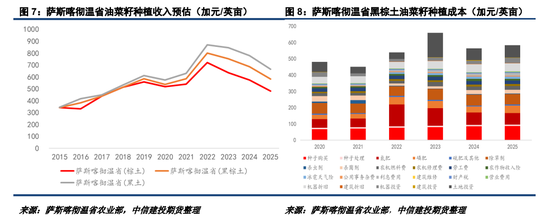 2025加菜籽种植面积仍有下调潜力  第6张