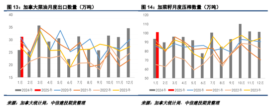 2025加菜籽种植面积仍有下调潜力  第9张